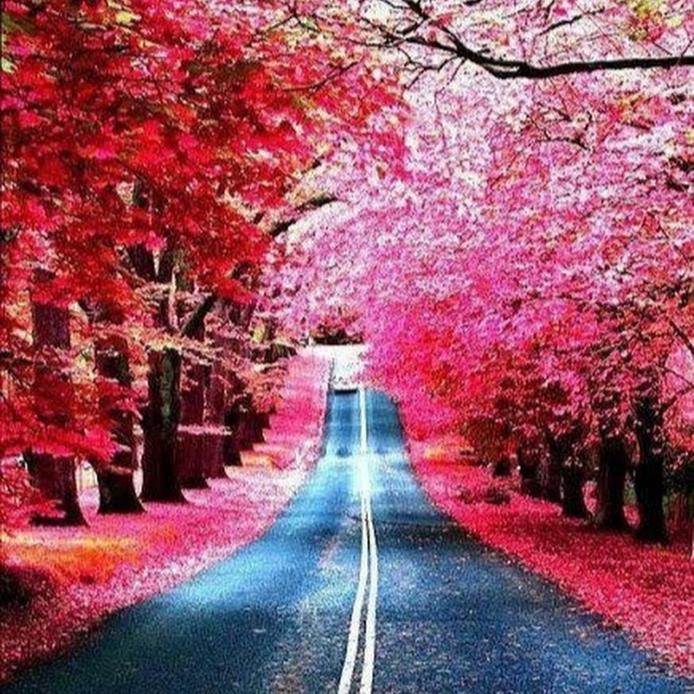 Meet your Posher, Taka